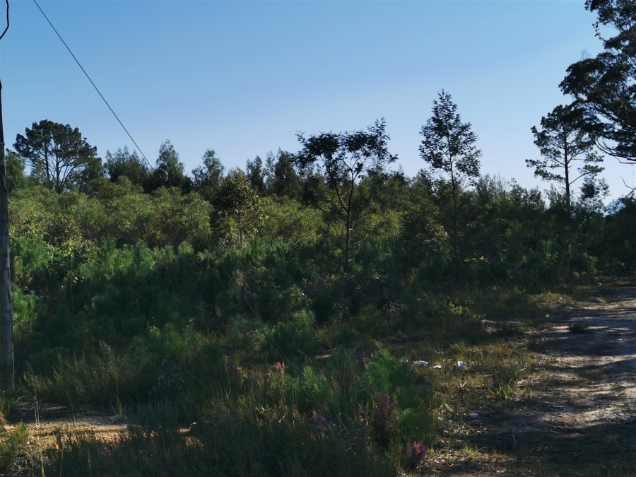 0 Bedroom Property for Sale in Kranshoek AH Western Cape